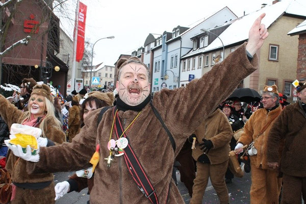 34 Narrentreffen 2013 in Buchen