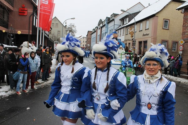 34 Narrentreffen 2013 in Buchen