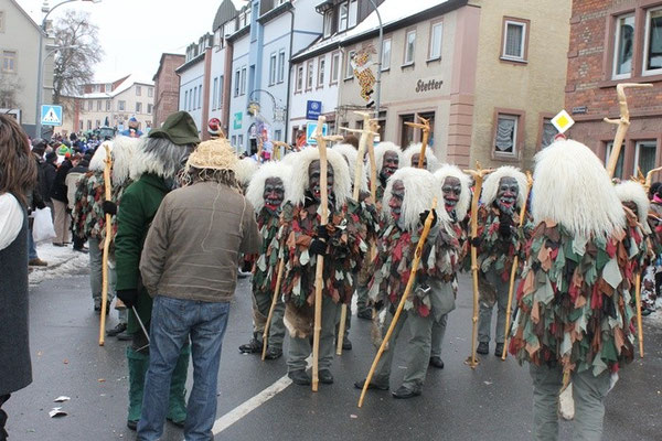 34 Narrentreffen 2013 in Buchen