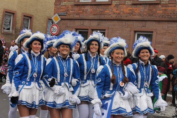 34 Narrentreffen 2013 in Buchen