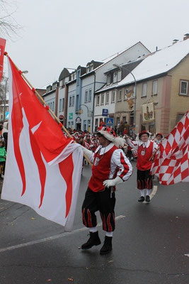 34 Narrentreffen 2013 in Buchen