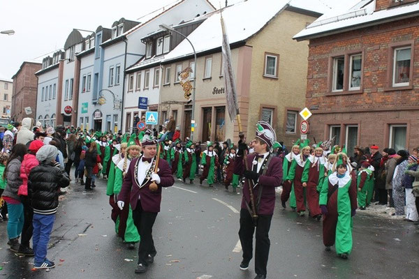 34 Narrentreffen 2013 in Buchen
