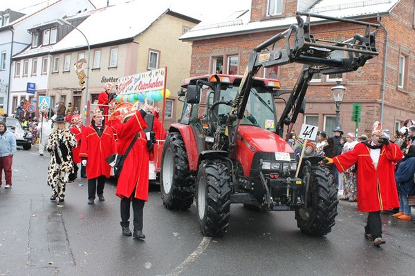 34 Narrentreffen 2013 in Buchen