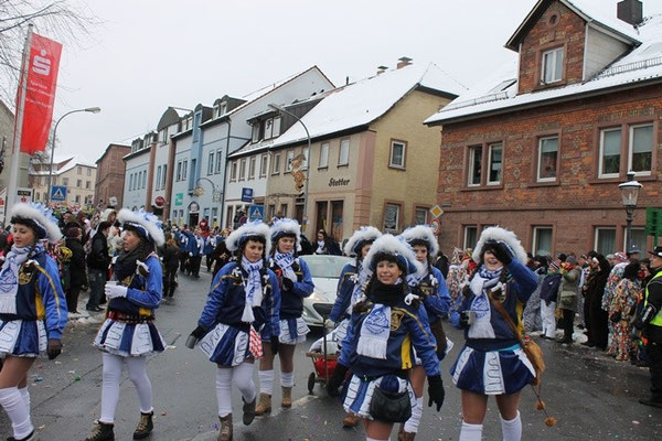 34 Narrentreffen 2013 in Buchen