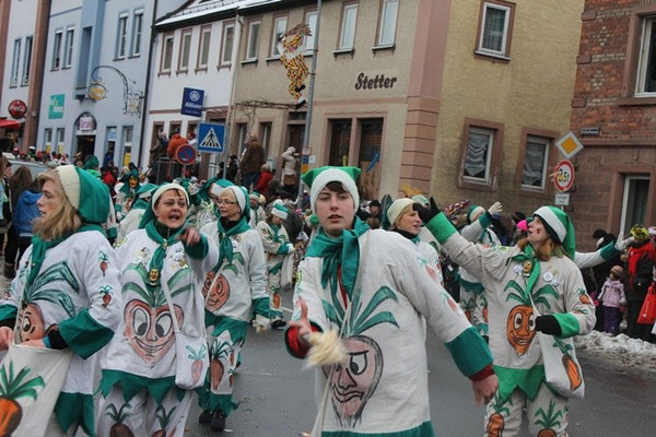34 Narrentreffen 2013 in Buchen