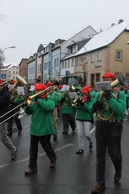 34 Narrentreffen 2013 in Buchen