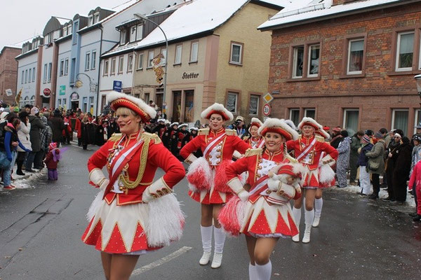 34 Narrentreffen 2013 in Buchen