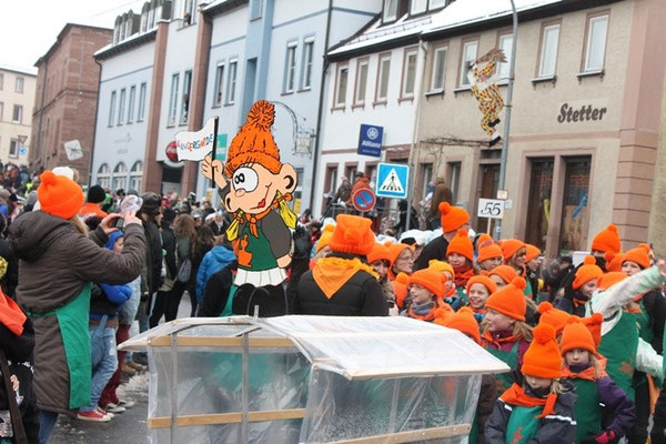 34 Narrentreffen 2013 in Buchen