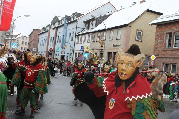 34 Narrentreffen 2013 in Buchen