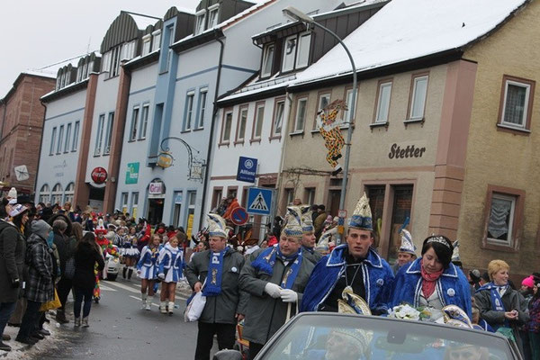 34 Narrentreffen 2013 in Buchen