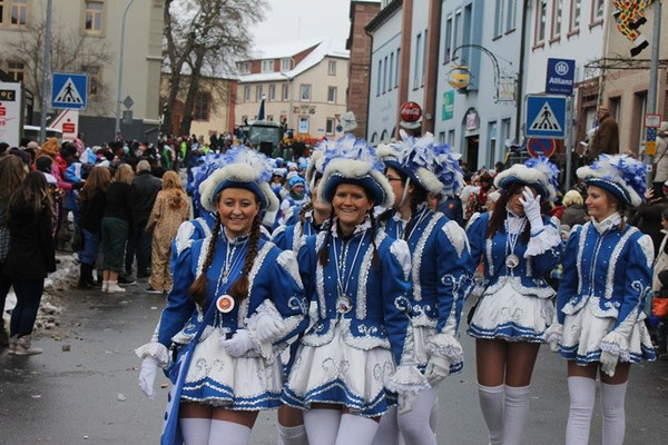 34 Narrentreffen 2013 in Buchen