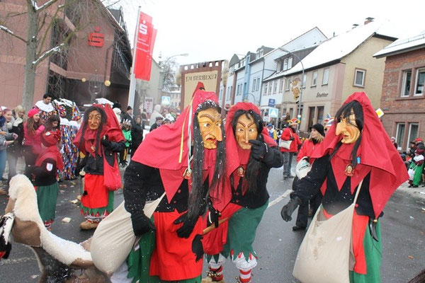 34 Narrentreffen 2013 in Buchen