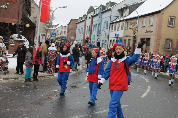 34 Narrentreffen 2013 in Buchen