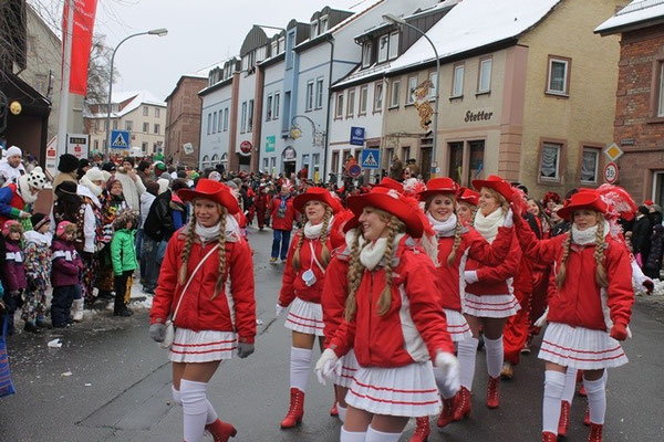 34 Narrentreffen 2013 in Buchen