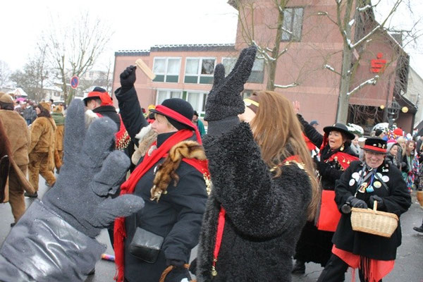 34 Narrentreffen 2013 in Buchen