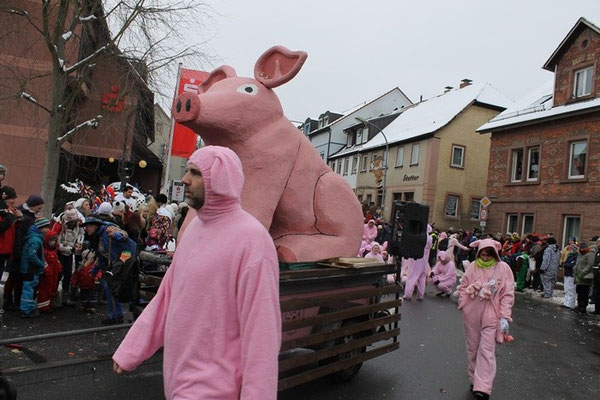 34 Narrentreffen 2013 in Buchen