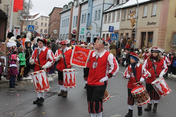 34 Narrentreffen 2013 in Buchen