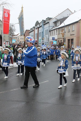 34 Narrentreffen 2013 in Buchen