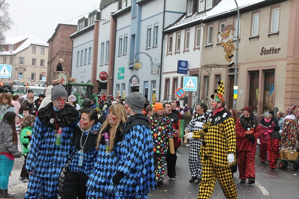 34 Narrentreffen 2013 in Buchen