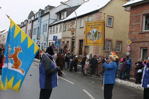 34 Narrentreffen 2013 in Buchen