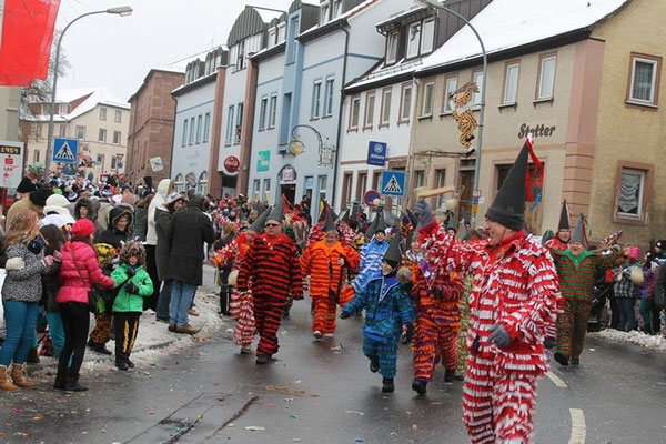 34 Narrentreffen 2013 in Buchen