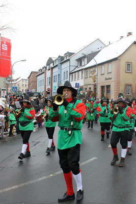 34 Narrentreffen 2013 in Buchen