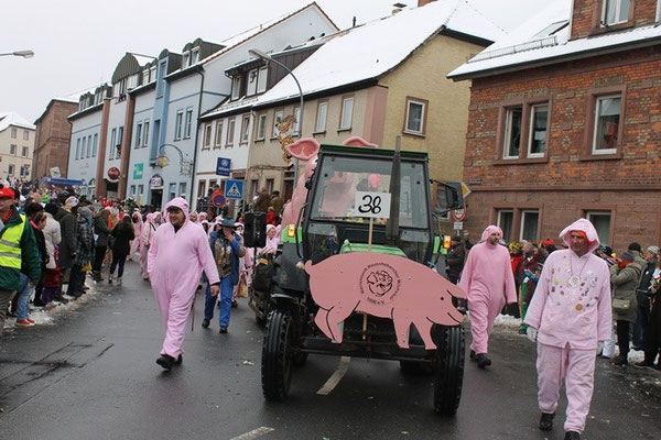 34 Narrentreffen 2013 in Buchen