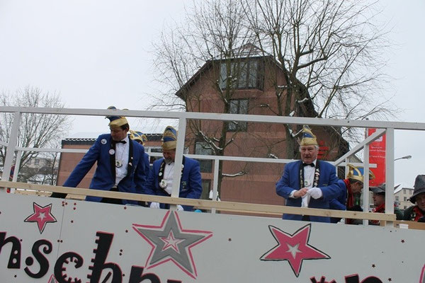 34 Narrentreffen 2013 in Buchen