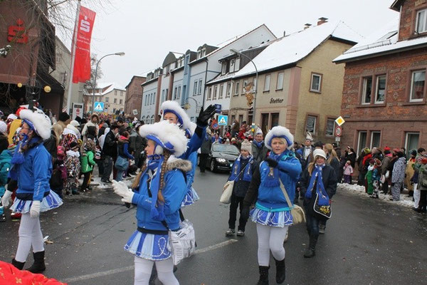 34 Narrentreffen 2013 in Buchen