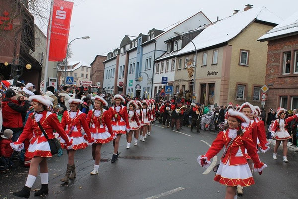 34 Narrentreffen 2013 in Buchen