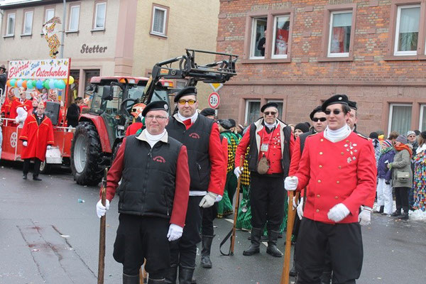 34 Narrentreffen 2013 in Buchen