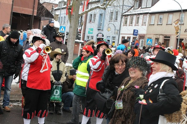 34 Narrentreffen 2013 in Buchen