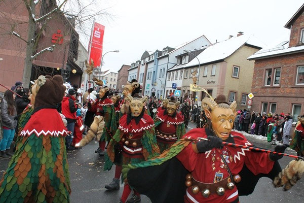 34 Narrentreffen 2013 in Buchen