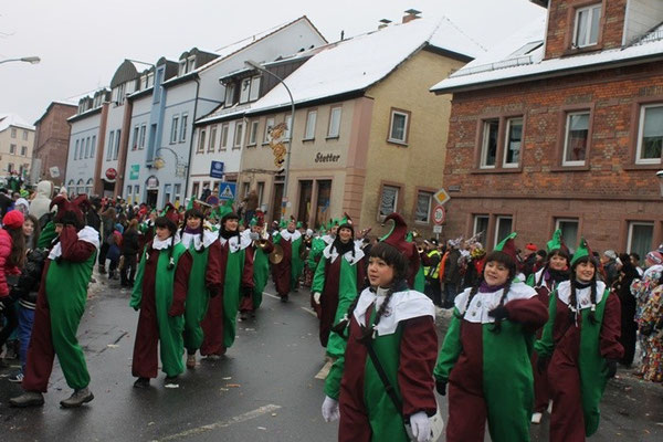 34 Narrentreffen 2013 in Buchen