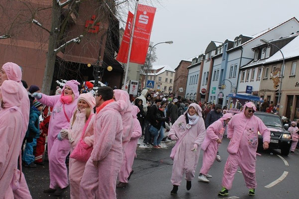 34 Narrentreffen 2013 in Buchen