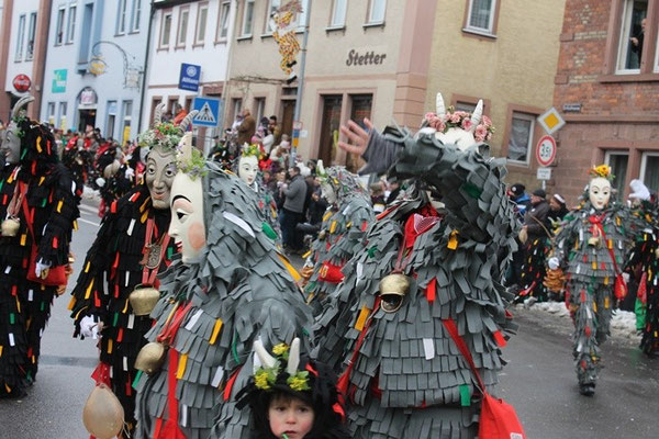 34 Narrentreffen 2013 in Buchen
