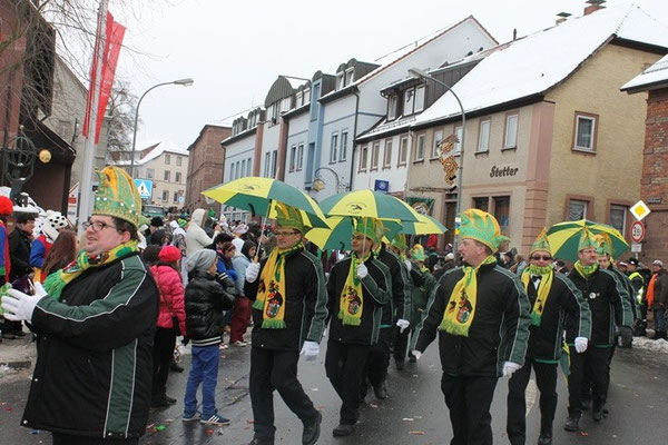 34 Narrentreffen 2013 in Buchen
