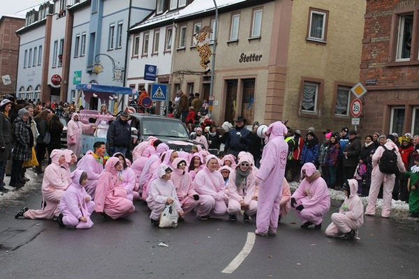 34 Narrentreffen 2013 in Buchen