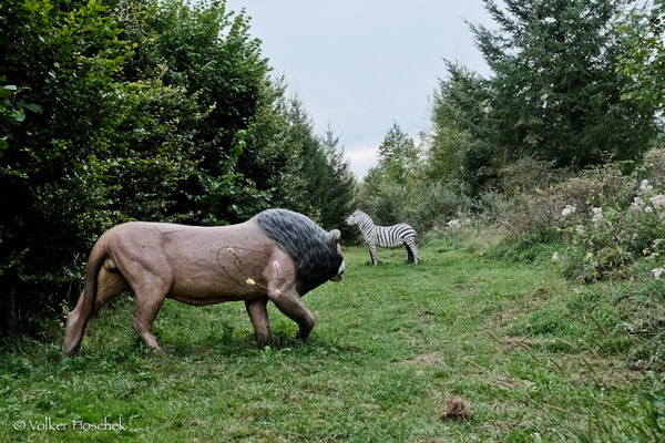 Löwe und Zebra auf der Hochwald Tour des Waldläufer Bogenparcour