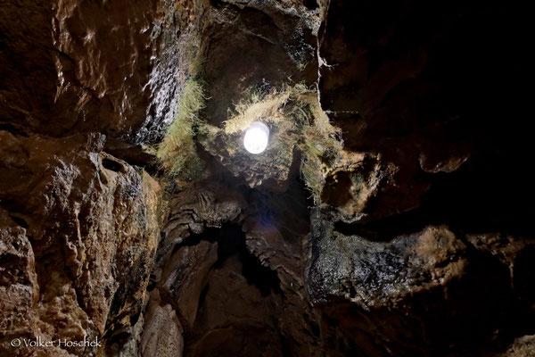 Moos wächst im Schein einer Lampe in der Laichinger Tiefenhöhle.