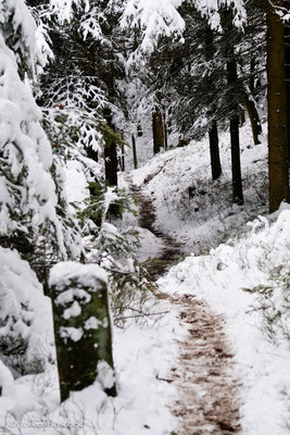 Pfad am winterlichen Grenzsteinweg