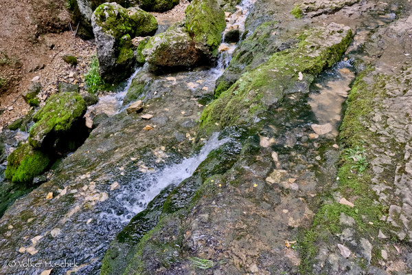 Die Elsach fließt über moosige Steine am Eingang der Falkensteiner Höhle.