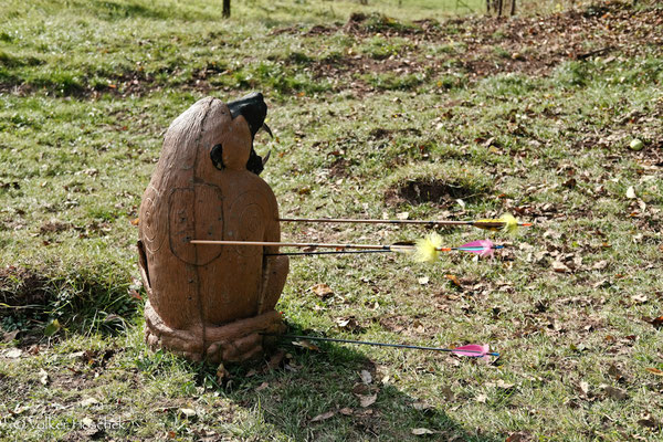 Ein Pavian mit Treffern auf dem Bogenparcours Dinosaurier-Park.