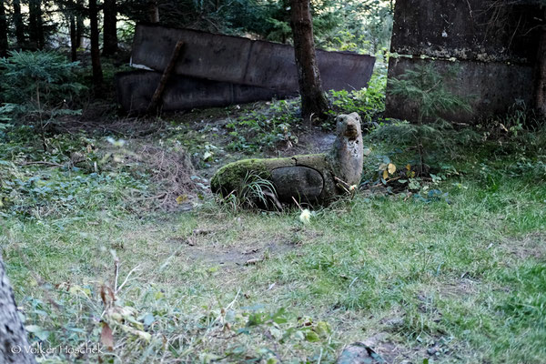 Eine verwitterte Hirschkuh auf dem Bogenparcours Dinosaurier-Park.