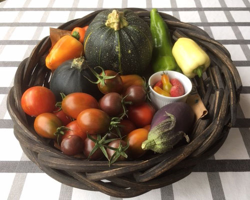 Aus dem Garten von Silvia