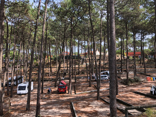 Campingplatz Vale Paraiso Natur Park Nazare Portugal