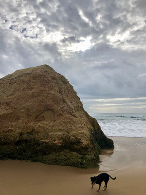 Alvor, Faro, Algarve, Portugal