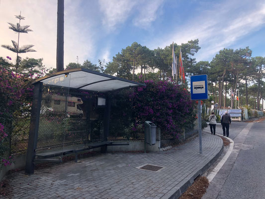 Campingplatz Vale Paraiso Natur Park Nazare Portugal