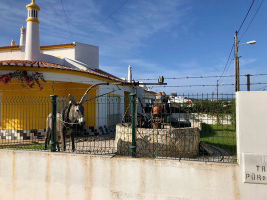 Sagres Algarve Portugal