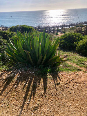 Carvoeiro, Faro, Algarve, Portugal